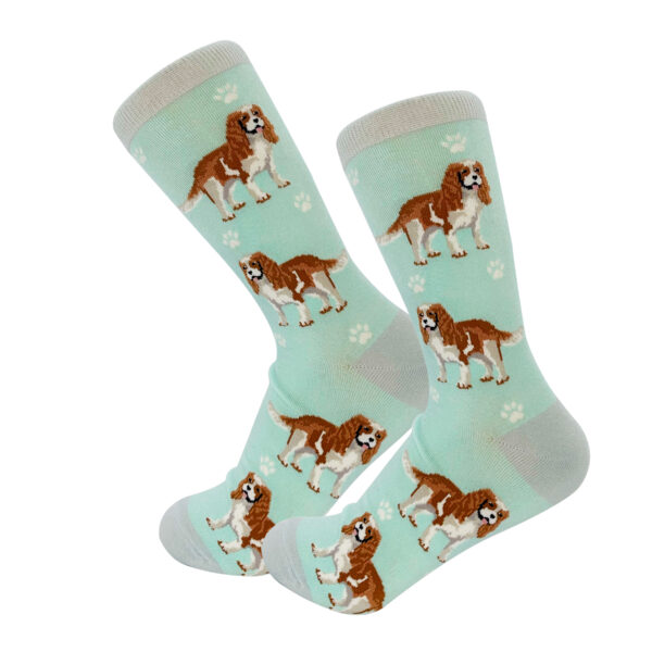 CAVALIER KING CHARLES SOCKS