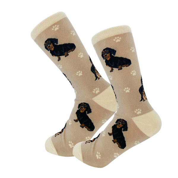 DACHSHUND, BLACK SOCKS