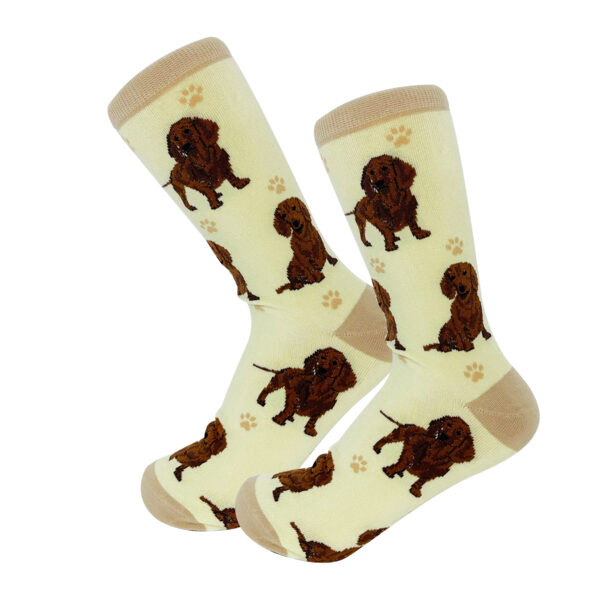 DACHSHUND, RED SOCKS