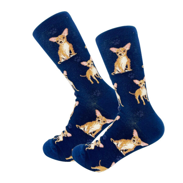 CHIHUAHUA, TAN SOCKS