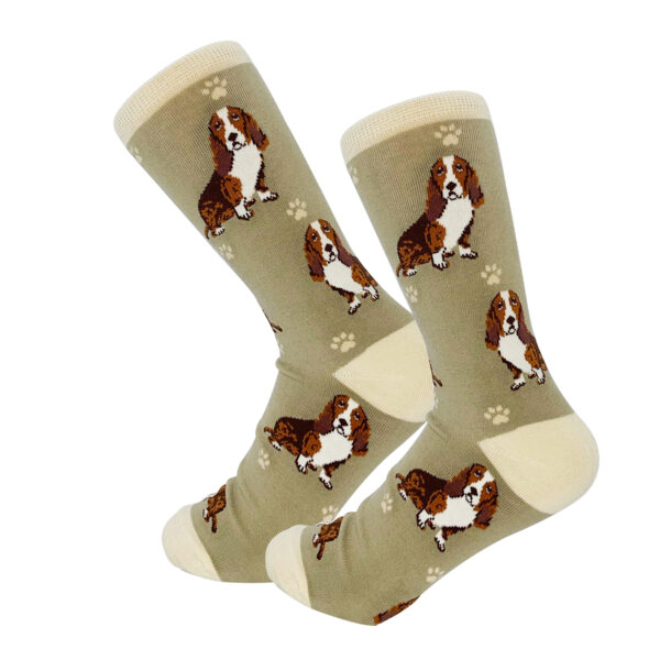 BASSET HOUND SOCKS