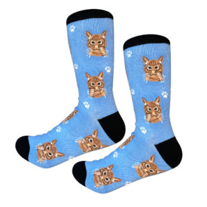 ORANGE TABBY SOCKS