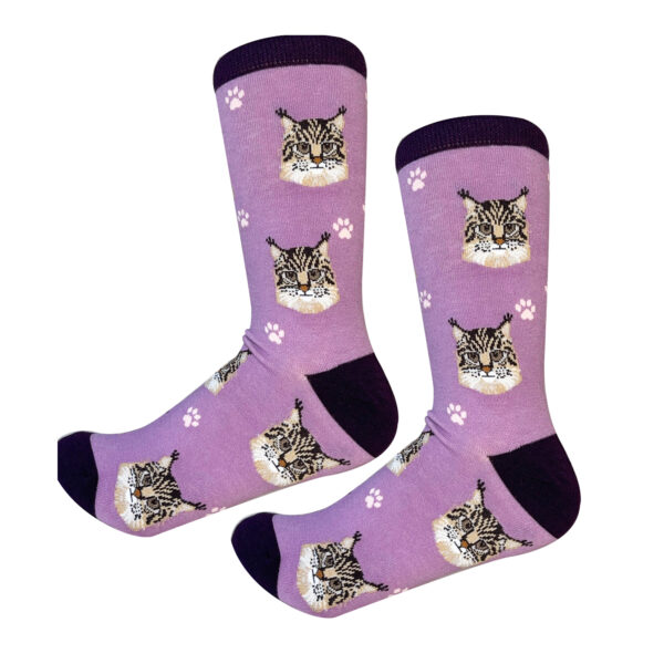MAIN COON SOCKS