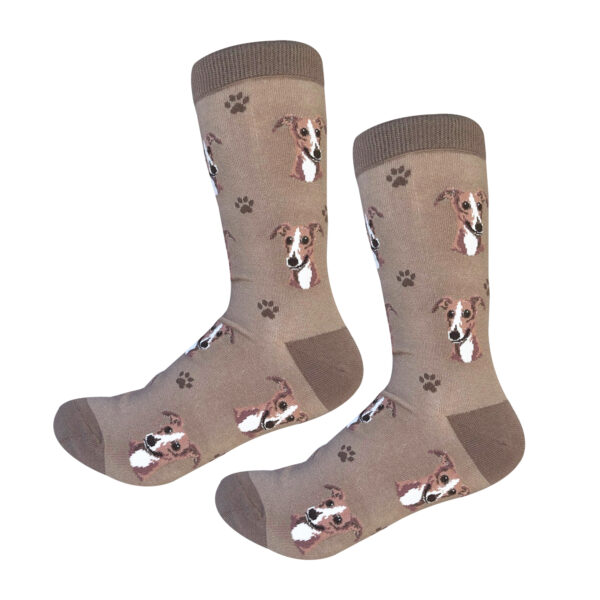 GREYHOUND SOCKS