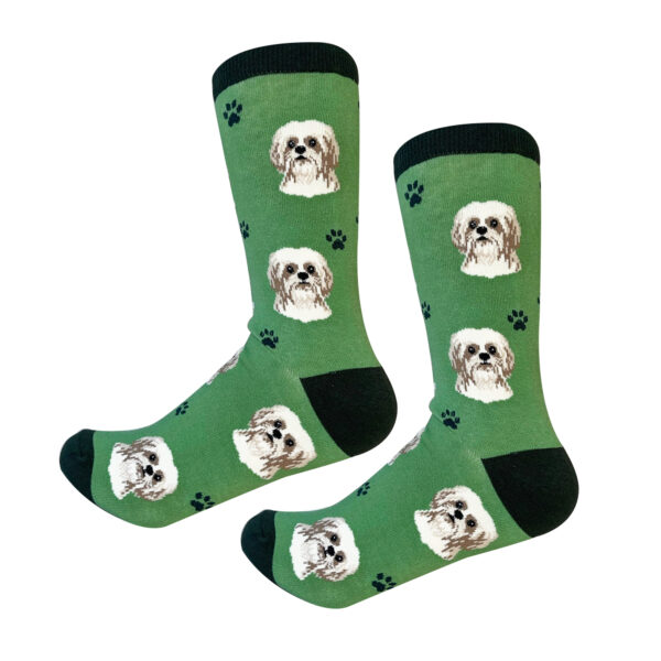 SHIH TZU TAN & WHITE SOCKS