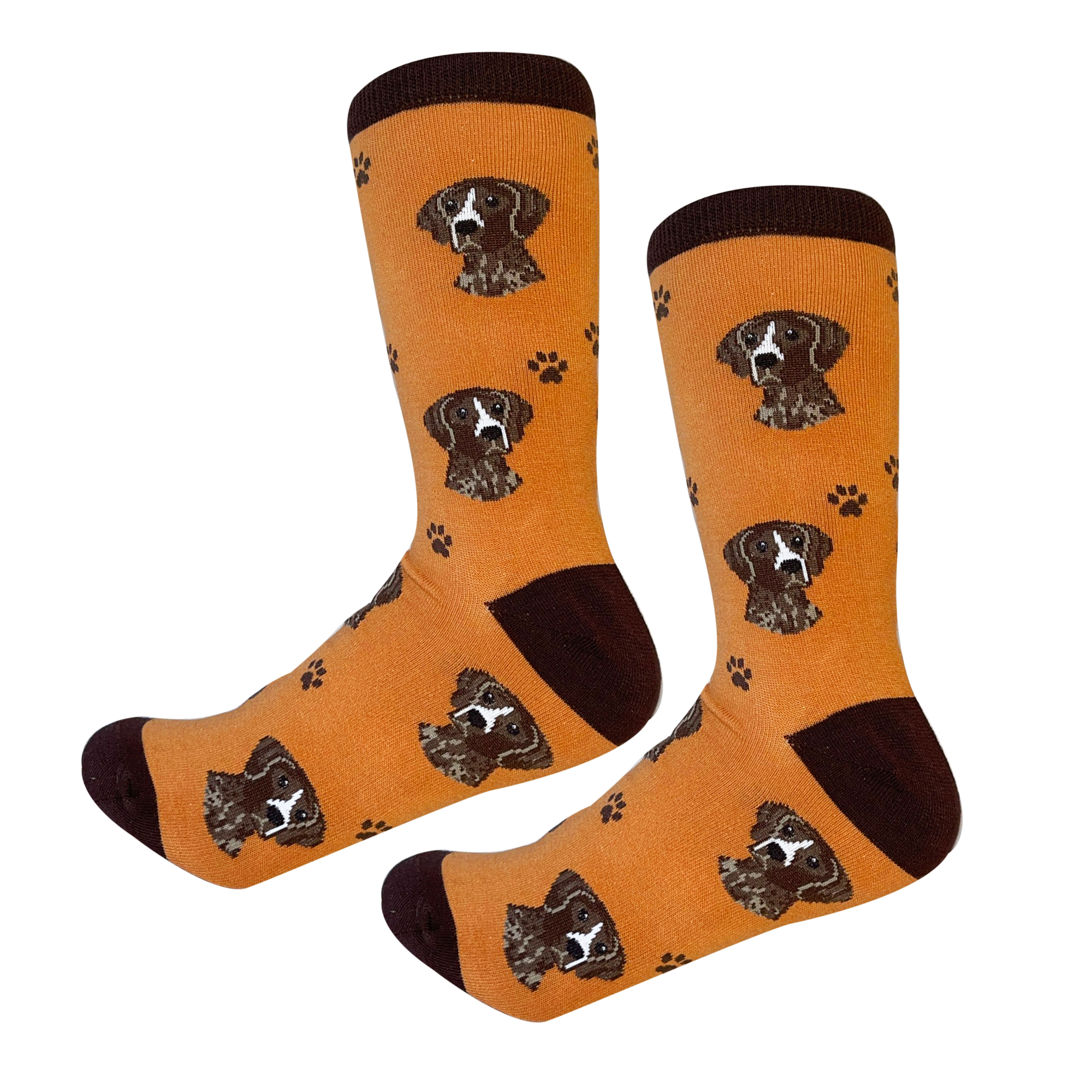 GERMAN SHORTHAIR, POINTER SOCKS