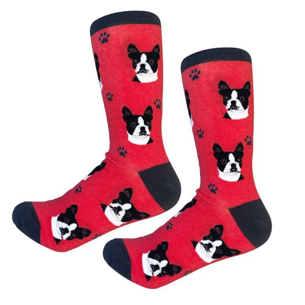 BOSTON TERRIER SOCKS