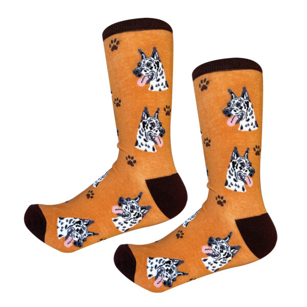 HARLEQUIN DANE SOCKS