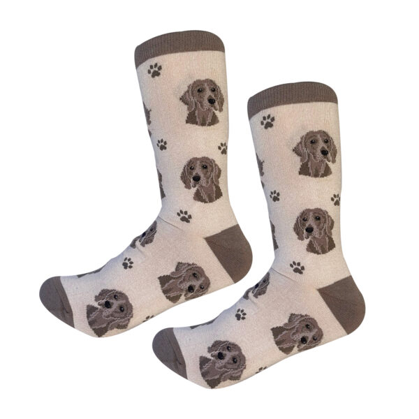 WEIMARANER SOCKS