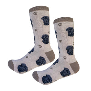 PUG, BLACK SOCKS
