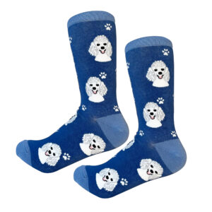 POODLE, WHITE SOCKS