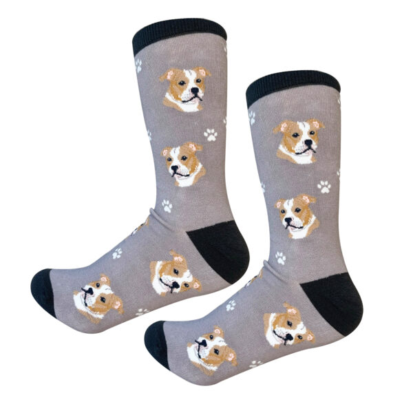 PIT BULL SOCKS