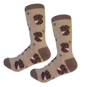 LABRADOR, CHOCOLATE SOCKS