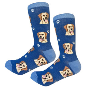 LABRADOR, YELLOW SOCKS