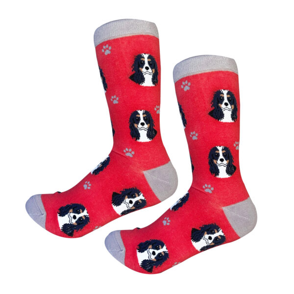 CAVALIER KING CHARLES, TRI COLOR SOCKS