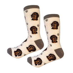 DACHSHUND, BLACK SOCKS