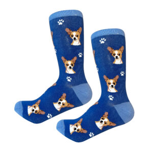 CHIHUAHUA, TAN SOCKS