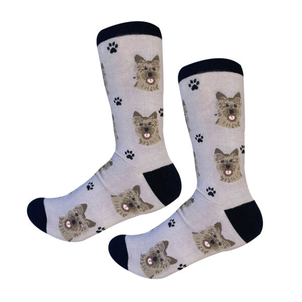 CARIN TERRIER SOCKS