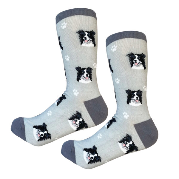 BORDER COLLIE SOCKS