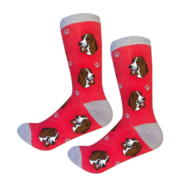 BASSET HOUND SOCKS