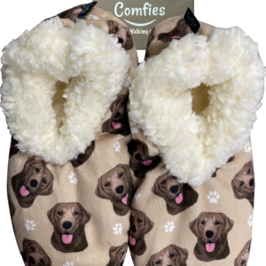LABRADOR, YELLOW SLIPPERS