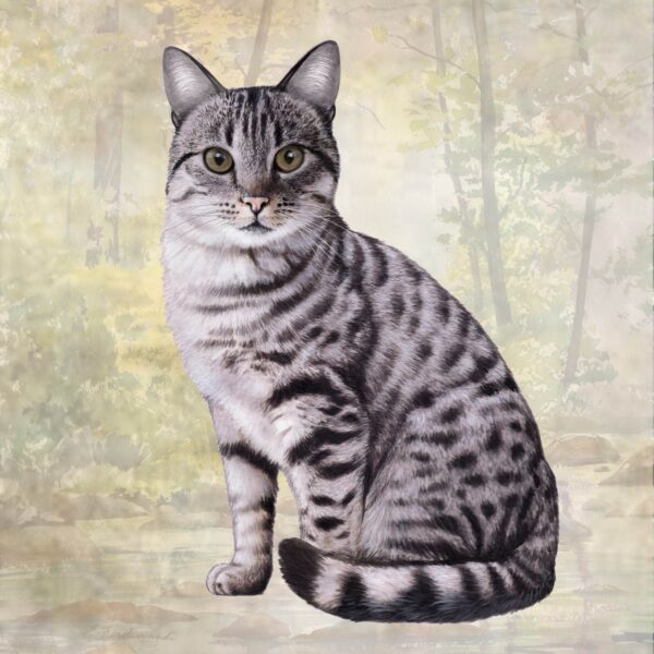 TABBY SILVER HOME COASTERS