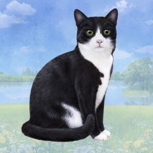 BLACK AND WHITE CAT HOME COASTERS