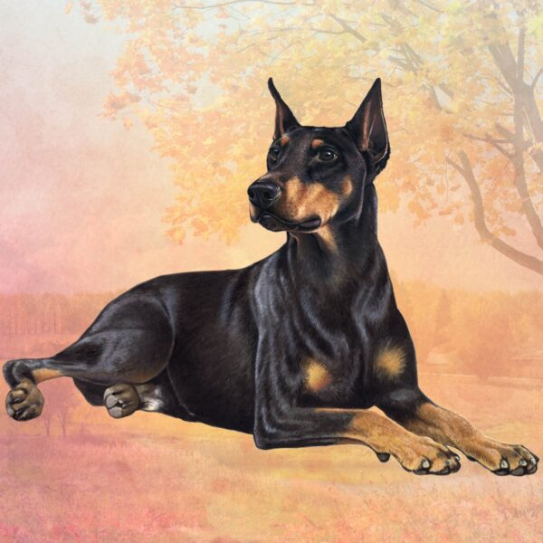 DOBERMAN LAYING HOME COASTERS