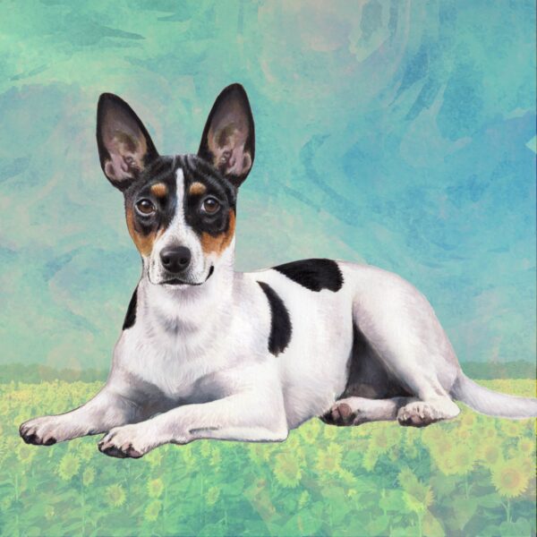 RAT TERRIER LAYING HOME COASTERS