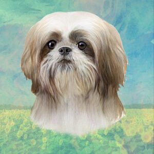 SHIH TZU TAN FACE HOME COASTERS