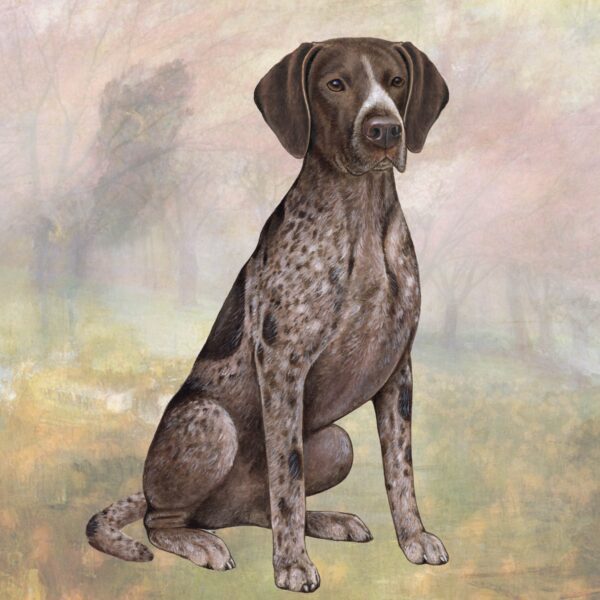 GERMAN SHORTHAIR POINTER SITTING HOME COASTERS