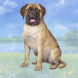 BULL MASTIFF HOME COASTERS