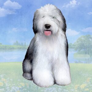 OLD ENGLISH SHEEPDOG SITTING HOME COASTERS