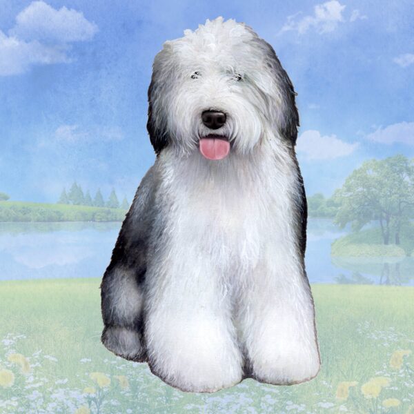 OLD ENGLISH SHEEPDOG SITTING HOME COASTERS