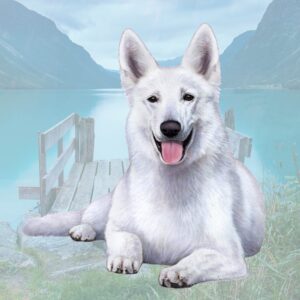 GERMAN SHEPHERD WHITE HOME COASTERS