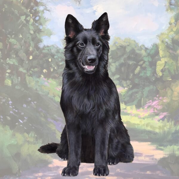 GERMAN SHEPHERD BLACK SITTING HOME COASTERS