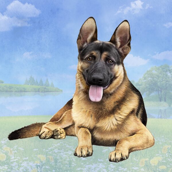 GERMAN SHEPHERD   HOME COASTERS