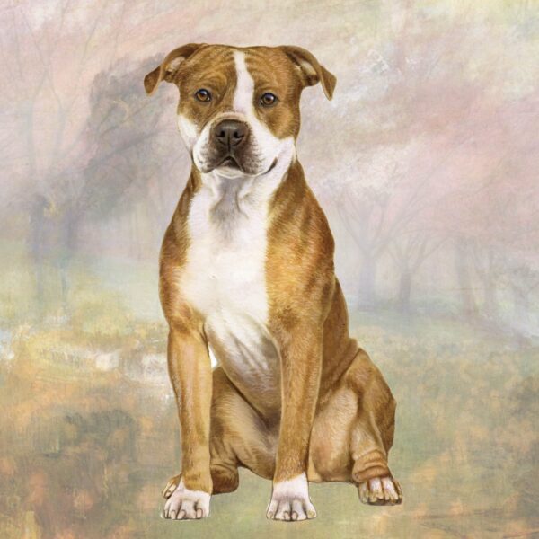 PITBULL EARS DOWN HOME COASTERS