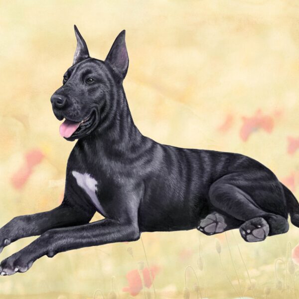 GREAT DANE BLACK LAYING HOME COASTERS