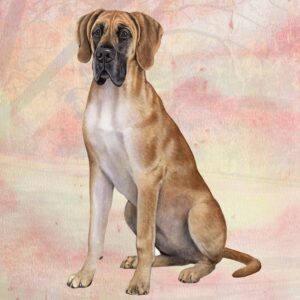 GREAT DANE FAWN SITTING HOME COASTERS
