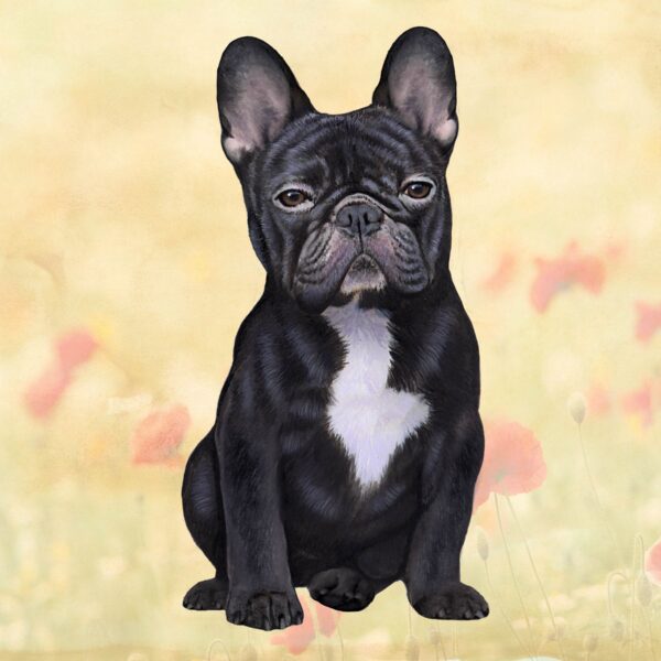 FRENCH BULLDOG BLACK SITTING HOME COASTERS