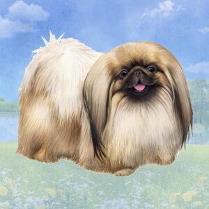 PEKINGESE STANDING HOME COASTERS
