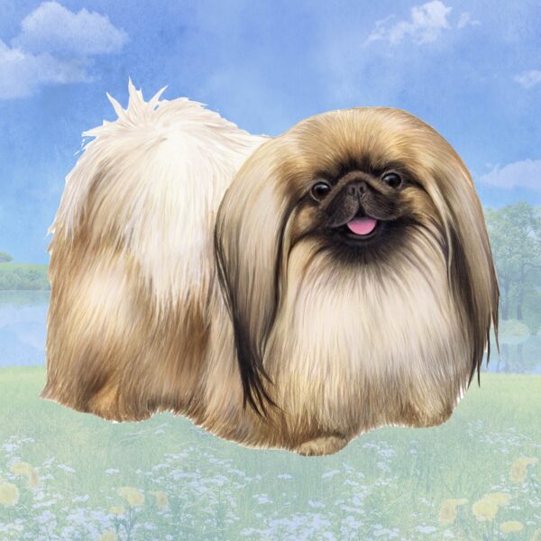 PEKINGESE STANDING HOME COASTERS