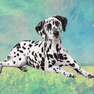DALMATIAN LAYING HOME COASTERS