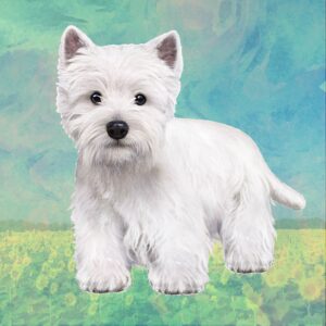WESTIE STANDING HOME COASTERS
