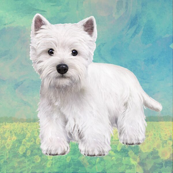 WESTIE STANDING HOME COASTERS