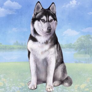 SIBERIAN HUSKY SITTING HOME COASTERS