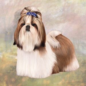 SHIH TZU WHITE AND TAN STANDING HOME COASTERS