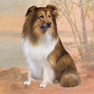 SHETLAND SHEEPDOG-SITTING HOME COASTERS
