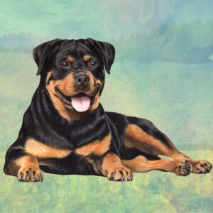 ROTTWEILER LAYING HOME COASTERS